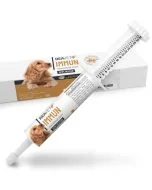 ReaVET Immuun Afweerkracht pasta voor Honden (30ml)