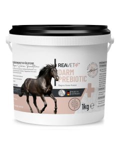 ReaVET Darm Prebiotica voor Paarden - Ondersteuning van maag- en darmfunctie van Paarden