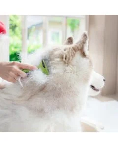 ReaVET Ondervacht kam voor honden en katten (M)