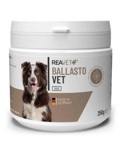 BallastoVET voor Honden - Snelle ondersteuning voor de darmen