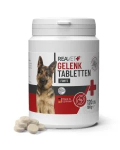 Ondersteun de gewrichten van je hond met ReaVET Gewrichtstabletten Forte. Natuurlijke ingrediënten, soepele gewrichten en meer bewegingsvrijheid. Bestel nu!