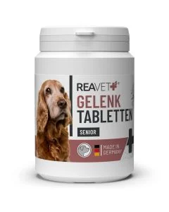 Natuurlijke gewrichtstabletten voor senior honden ✔️ Met glucosamine, MSM, groenlipmossel & rozenbottelpoeder ✔️ Soepele gewrichten en vitaliteit ➤ ReaVET Shop