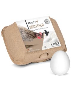 HÜHNER Land Witte klei eieren Kippen (6 stuks)