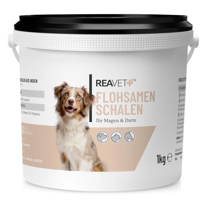 Bespaar met de 1000g voordeelverpakking ReaVET Psyllium vlozaadschillen ✔️ Rijk aan vezels ✔️ Voor gezonde darmen bij hond & kat ✔️ Bestel bij ReaVET
