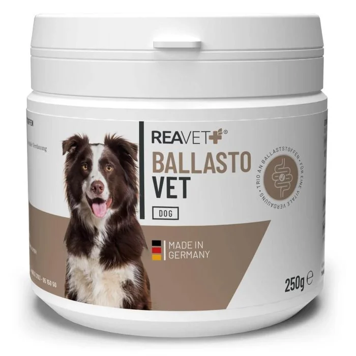 BallastoVET voor Honden - Snelle ondersteuning voor de darmen
