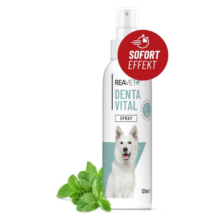 Denta Vitaal Spray - Tandreiniging voor gezond tandvlees en tegen slechte adem.