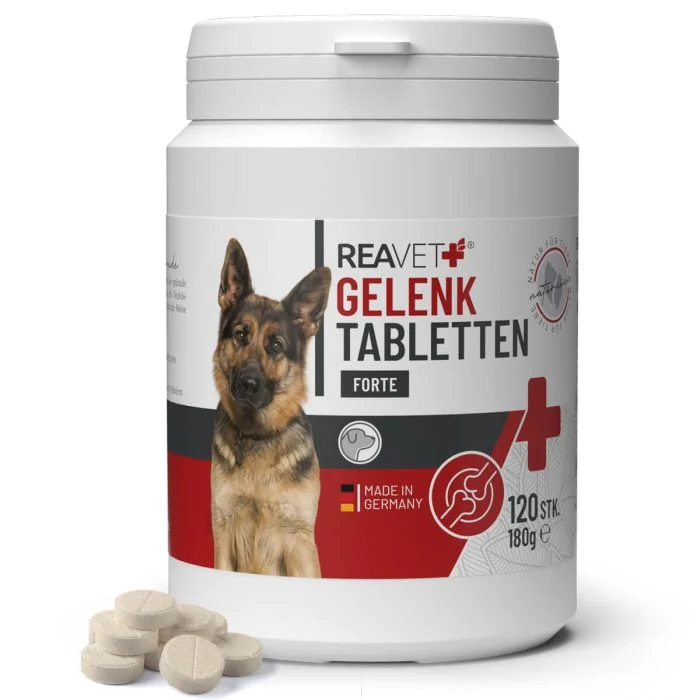 Gewrichtstabletten FORTE helpen bij het ondersteunen van gewrichten, banden en pezen ✔️ Voor volwassen, actieve en oudere honden ➤ Ontdek in de ReaVET Shop