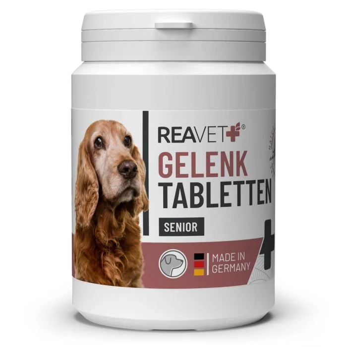Natuurlijke gewrichtstabletten voor senior honden ✔️ Met glucosamine, MSM, groenlipmossel & rozenbottelpoeder ✔️ Soepele gewrichten en vitaliteit ➤ ReaVET Shop
