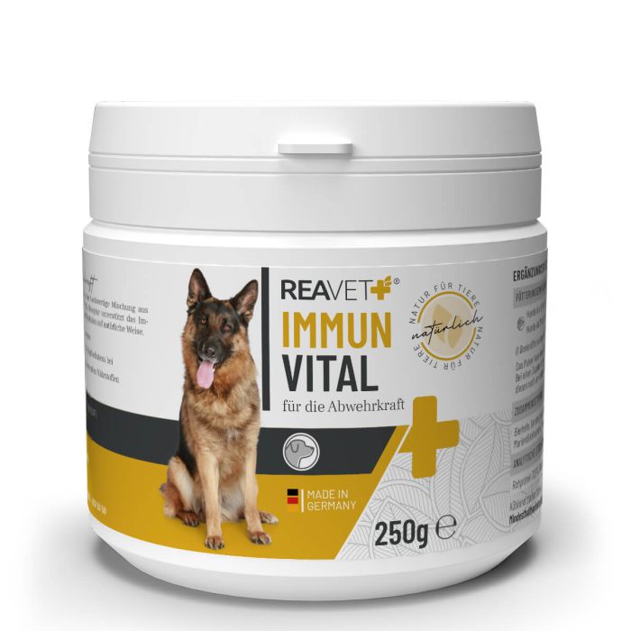 ReaVET Immuun Vitaal voor Honden (250g)