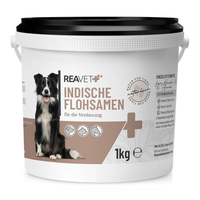 Psyllium vlozaad ✔️ Natuurlijk vezelsupplement voor paarden, honden & katten ✔️ Ondersteunt spijsvertering & darmgezondheid ✔️ Bestel bij ReaVET Benelux
