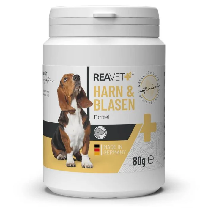 ReaVET Urine & Blaas Formule voor Honden (80g)