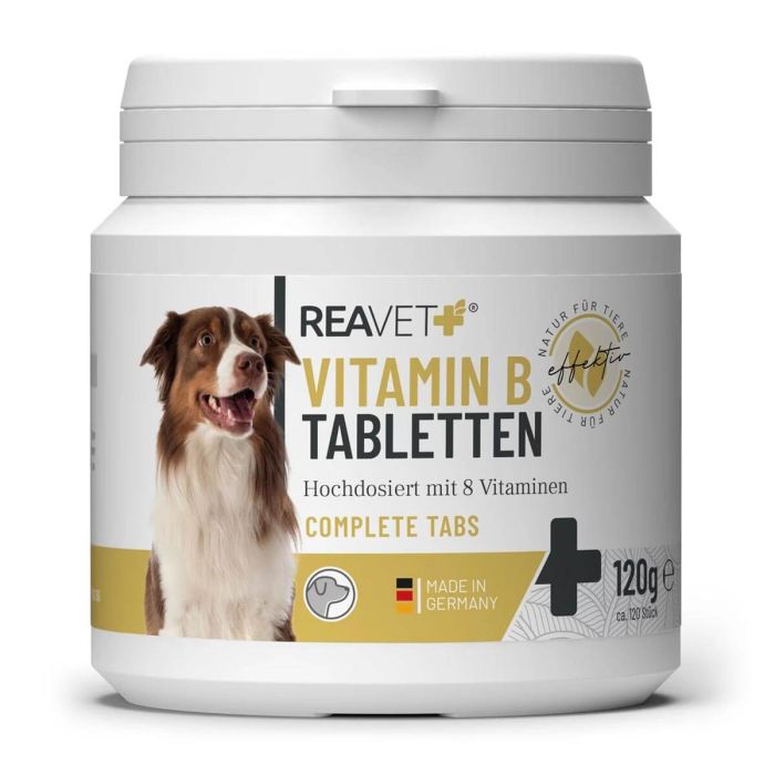 Vitamine B-tabletten voor honden van ReaVET ✔️ Met 8 belangrijke B-vitamines ✔️ Voor afweercellen en zenuwen ✔️ Ondersteunt de natuurlijke vertering ➤ Koop op www.reavet.nl