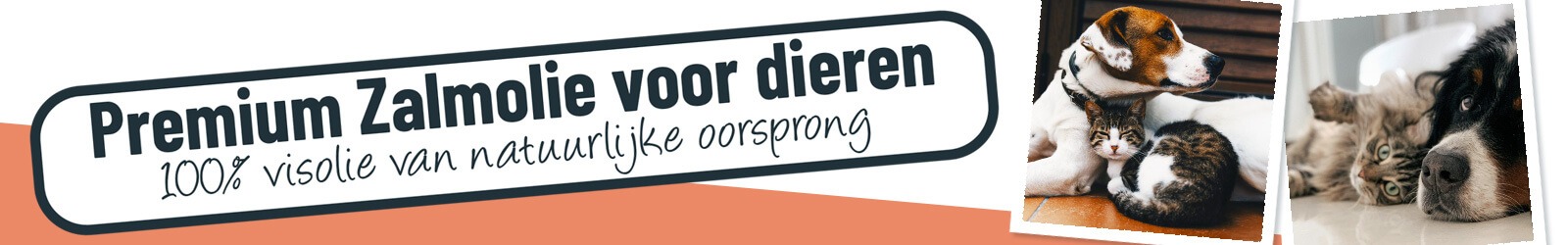 Premium zalmolie voor dieren - 100% visolie van natuurlijke oorsprong - Bestel nu
