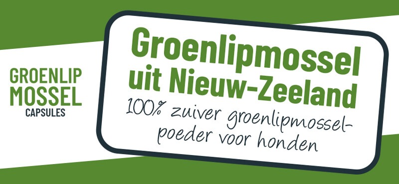 Aniculis Groenlipmossel capsules voor honden - Volvette kwaliteit - Natuurlijke vetfractie behouden
